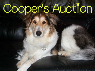 Cooper's Auction Album